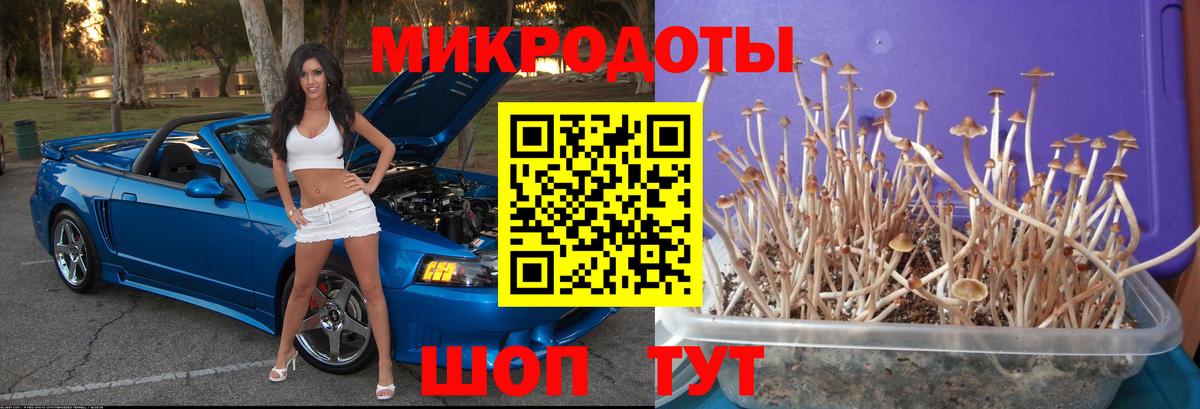 Псилоцибиновые грибы GOLDEN TEACHER  Вход с VPN  Красный Сулин 